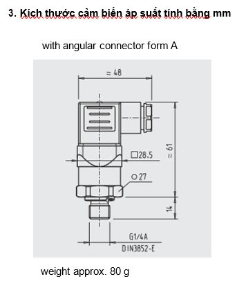 Cảm biến áp suất tiêu chuẩn CS 100